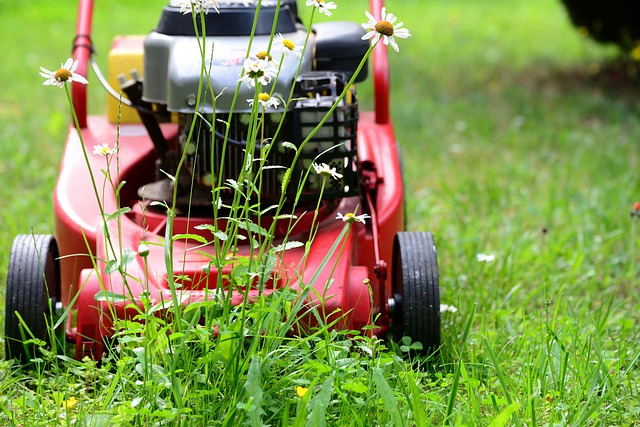 Horaires de bricolage et de jardinage