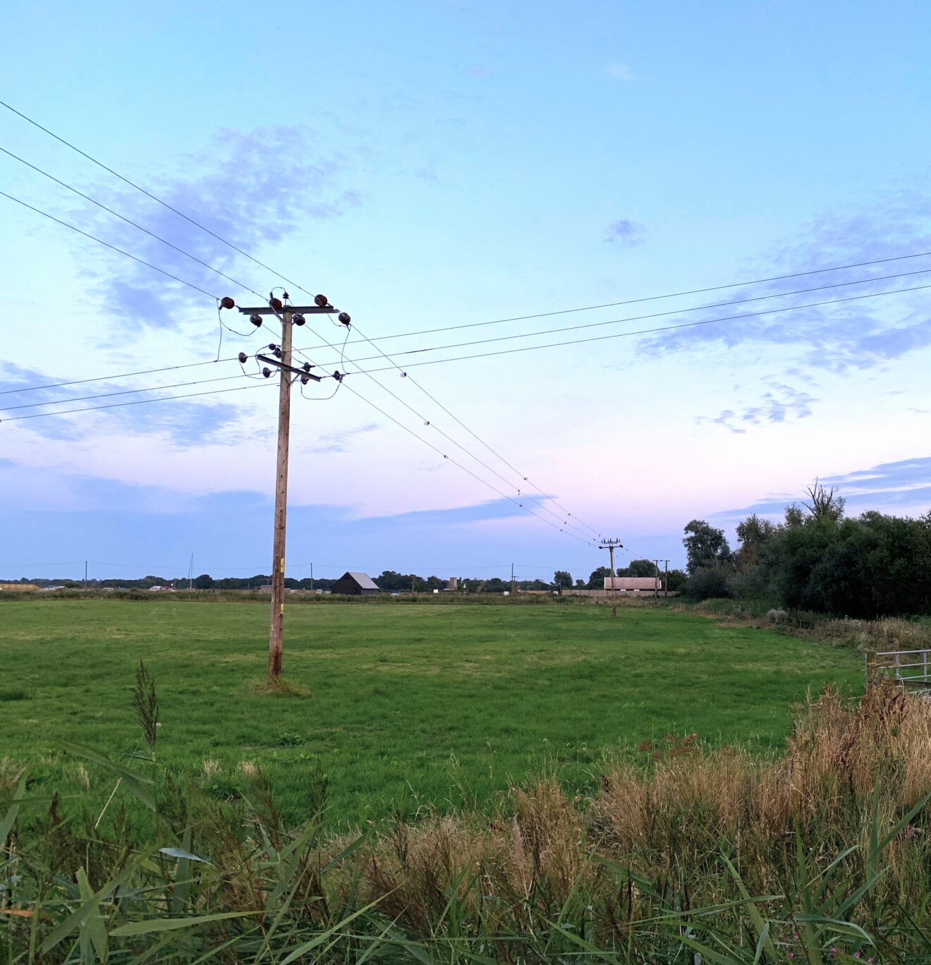Travaux d'élagage autour des lignes